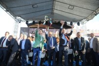 AĞRI TEDAVİSİ - Merkezefendi Geleneksel Tıp Festivali Başlıyor
