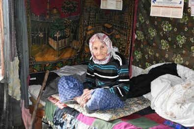 Tosya'da Sokağa Terkedilen Yaşlı Kadına Kaymakam Sahip Çıktı