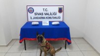 Sivas'ta 3 Kilo Esrar Ele Geçirildi