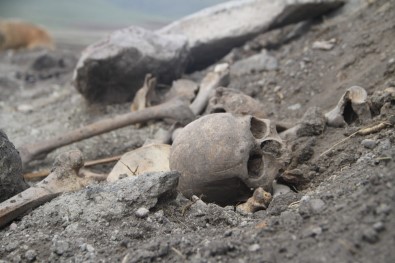 Ardahan'da Kafatası Ve İnsan Kemikleri Bulundu