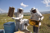 En Ballı İller Açıklandı