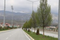 Erzincan'da Ağaçlandırma Çalışması