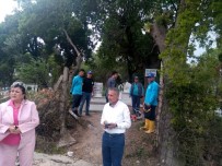 CENGIZ ERGÜN - Mezarlıklarda Yoğun Çalışma