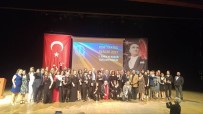 GENEL SANAT YÖNETMENİ - Nilüfer Belediyesi 'Tiyatro'Ya Emek Ödülü