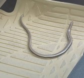 YAZ GÜNLERİ - Otomobilde Yılan Paniği