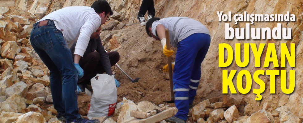 Tuzla'da yol çalışmaları sırasında yapılan kazıda lahit mezarlar bulundu