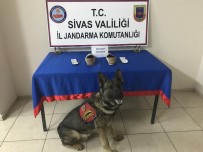 Ayakkabı Tabanına Gizlenmiş Uyuşturucuyu Narkotik Köpeği Buldu