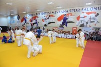BUZ PATENİ - Çorum'da Yaz Spor Okulları İçin Kayıtlar Başlıyor