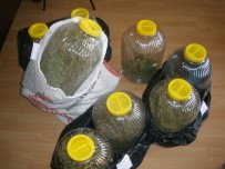 Özel Harekat Kapıları Kırdı, 'Şans' Uyuşturucuları Buldu