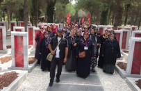 Pursaklar'da Kültür Gezileri Devam Ediyor