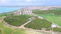 BEYŞEHIR GÖLÜ - Beyşehir'e Yeni Mesire Alanı