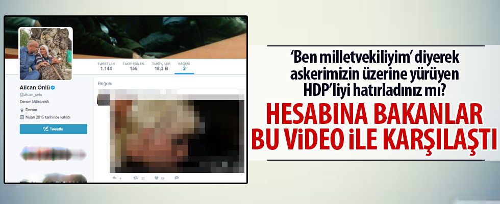 HDP'li Alican Önlü 'den skandal beğeni