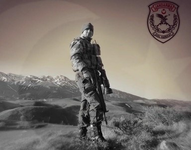 Şehit Ateşi Aydın'a Düştü