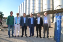 CENGIZ AYDOĞDU - AK Parti Aksaray Milletvekilleri Projeleri İnceledi