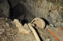 KİMLİK TESPİTİ - Balıkçılar 50 Yıl Öncesine Ait İnsan Kemikleri Buldu
