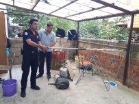 Denizli'yi Yılan Bastı