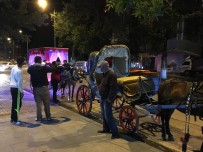 FAYTON - Develi'de Fayton Turları Başladı