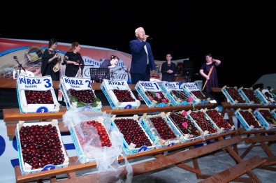 Lapseki'de Kiraz Yarışmasında Dereceye Girenler Belli Oldu