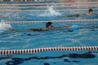 TÜRKİYE YÜZME FEDERASYONU - Minik Yüzücüler Türkiye Şampiyonasına Katılacak