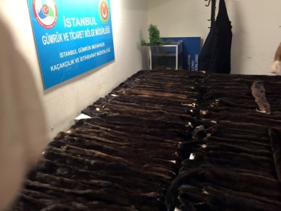 Bavulda 65 Bin TL'lik Sevkıyat İstanbul Polisine Takıldı