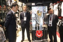 ŞAMPİYONLUK KUPASI - Beşiktaş'ın Şampiyonluk Kupası Tekirdağ'da