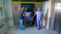 NAKİL OPERASYONU - Karaciğeri İle Hastalara Umut Oldu