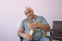 KEÇİ SÜTÜ - 'Nazlıcan' Kurumun Maskotu Oldu