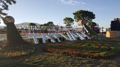 Tatvan'da 90 Bin Adet Çiçek Ekimi Yapıldı