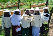 PROPOLIS - Arı Sütü Eğitimleri İle Kadınları Girişimciliğe Teşvik Ediyor