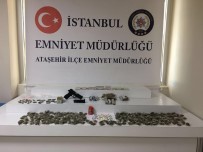 GECEKONDU - Gecekondu Bahçelerini Uyuşturucu Serasına Çevirmişler