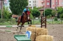 İLHAMI AKTAŞ - Jandarmanın Göz Bebeği Eğitimli At Ve Köpeklerin Gösterisi Büyüledi