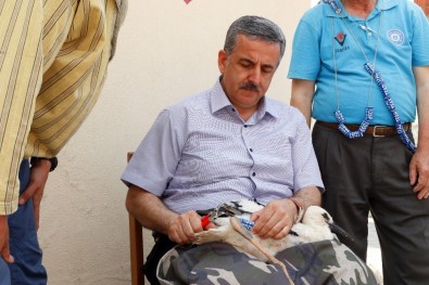 Manisa'da Leyleklere İlk Halkalama Gerçekleştirildi