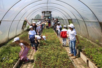 Giresun'da 'Lider Çocuk Tarım Kampı' Düzenlendi