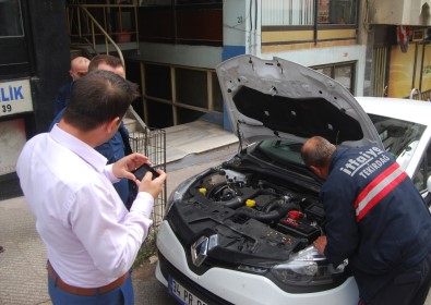 Otomobilin Motoruna Giren Yavru Kedi Zor Anlar Yaşattı