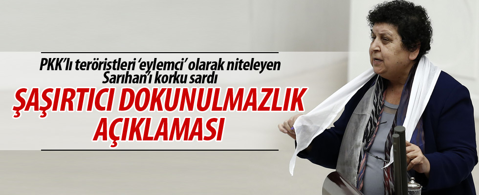 Şenal Sarıhan'dan dokunulmazlık açıklaması