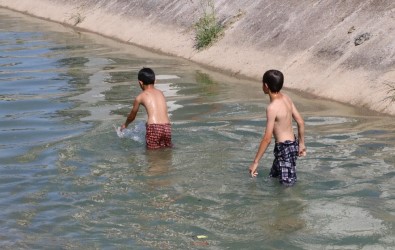 Çocuklar Canını Hiçe Sayarak Sulama Kanallarında Serinliyor