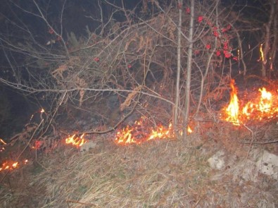 Orman Yangını Uyarısı