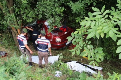 Düzce'de Otomobil Ormanlık Alana Uçtu Açıklaması 2 Ölü, 2 Yaralı