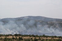 YÜKSEK GERİLİM - Ezine'deki Yangın Korkuttu