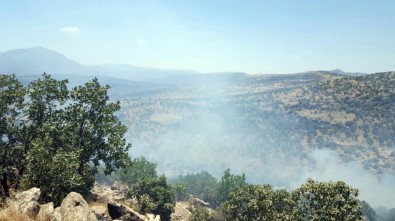 Hakkari'de 11 terörist öldürüldü