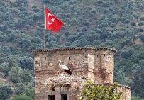 MILLI PARKLAR GENEL MÜDÜRLÜĞÜ - Aydın'da Leylek Sayımı Ve Halkalaması Yapıldı