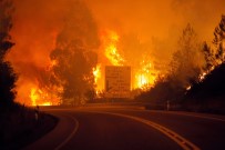PORTEKİZ BAŞBAKANI - Portekiz'de Yangın Açıklaması 39 Ölü