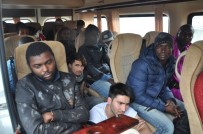 ERITRE - Çanakkale'de 51 Kaçak Yakalandı