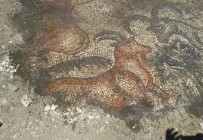 KAZMA KÜREK - Çiftçiler Tarlada Tarihi Mozaik Buldu