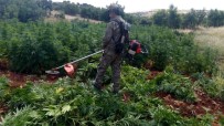 DİYARBAKIR VALİLİĞİ - Diyarbakır Kırsalında Büyük Operasyon Sürüyor