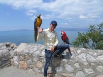 DENİZ KIYISI - Ekmeğini Papağandan Çıkartıyor