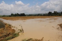 HÜSEYIN YANAR - Manavgat'ta Etkili Olan Yağmur Yüzlerce Dönüm Ekili Araziye Zarar Verdi