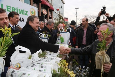 Orman Bakanlığı Türkiye'yi Yeşillendirmeye Devam Ediyor