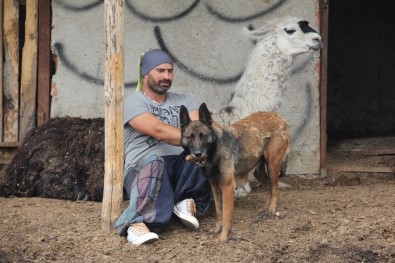 Ankara'da Hasta Hayvanlardan Oluşan Farklı Bir Çiftlik