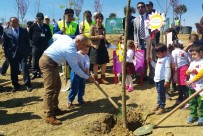 HASAN AKGÜN - 13 Şehidin Anısına 13 Çınar Ağacı